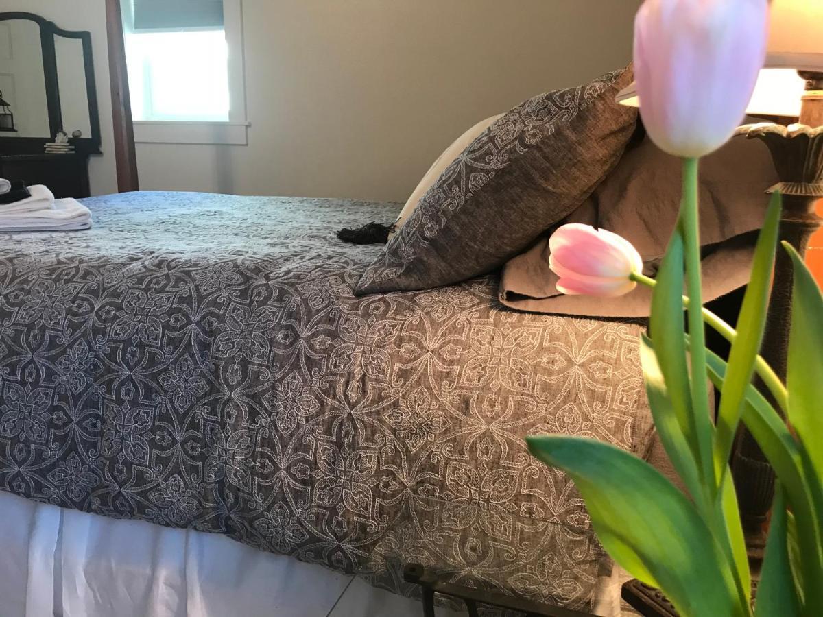 Snowgoose Pond Bed & Breakfast Palmer Ngoại thất bức ảnh